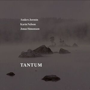 Bach,J.S. / Jormin / Simonson - Tantum  CD